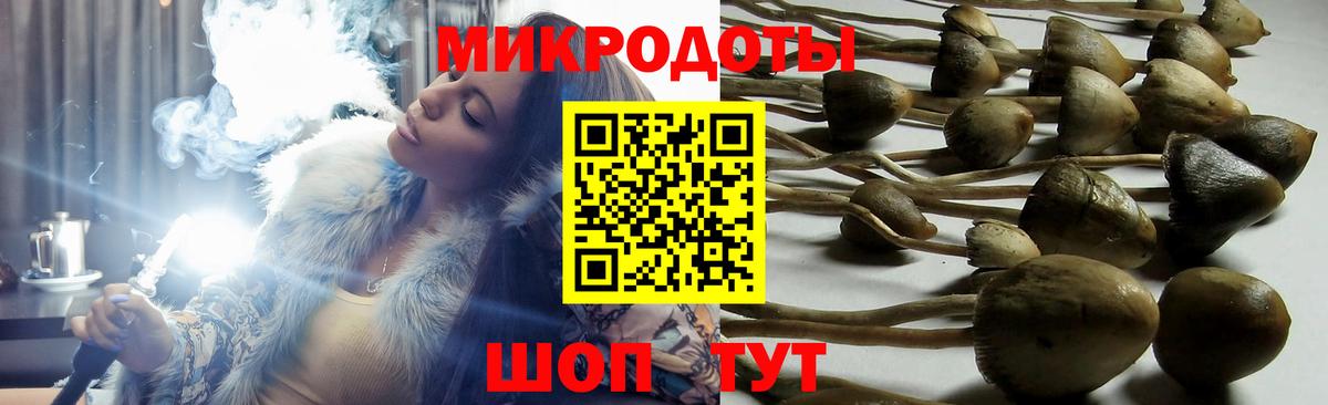 Галлюциногенные грибы прущие грибы  Галлюциногенные грибы прущие грибы  Урай  Вход с VPN 